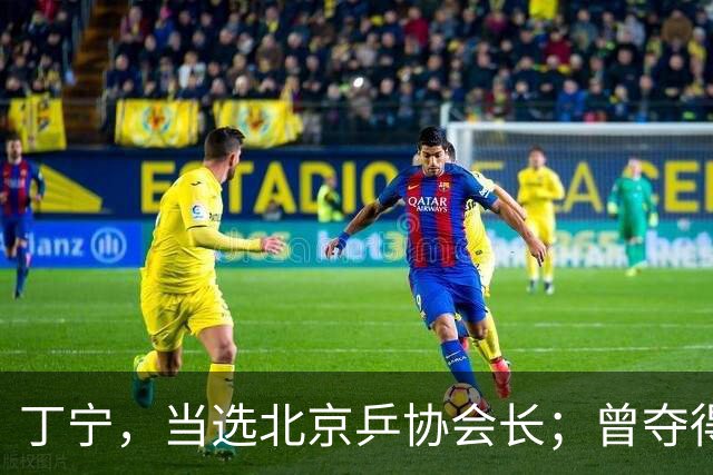 丁宁，当选北京乒协会长；曾夺得21个世界冠军头衔，是乒乓球“大满贯”得主