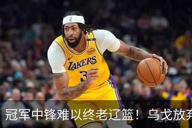 冠军中锋难以终老辽篮！乌戈放弃优先续约权，他恐成下一个弗格