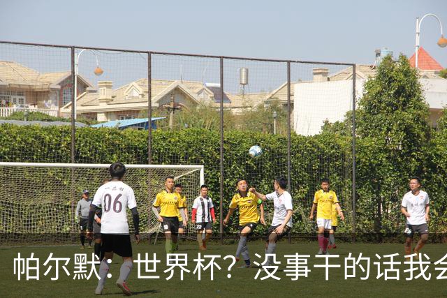 帕尔默：世界杯？没事干的话我会看看，我希望他们能走到最后