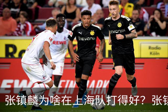 张镇麟为啥在上海队打得好？张镇麟毫不客气说出心里话，原来如此