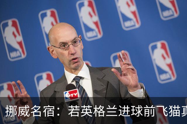挪威名宿：若英格兰进球前飞猫真阻挡了皮球那理应坠球，太憋屈了