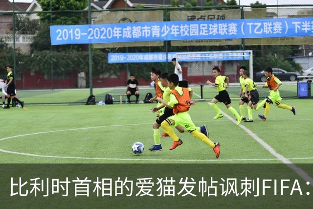 比利时首相的爱猫发帖讽刺FIFA：“红牌？”我照样继续踢！