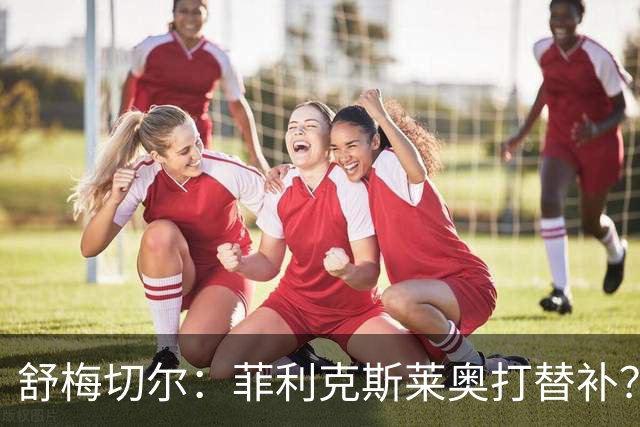 舒梅切尔：菲利克斯莱奥打替补？马丁内斯毁了比利时又来毁葡萄牙