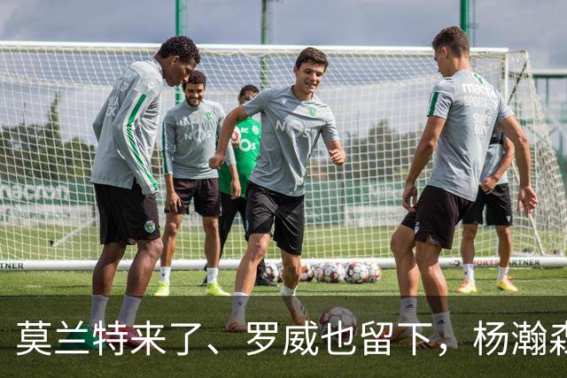 莫兰特来了、罗威也留下，杨瀚森第二季真正考题，是能否挤进开拓者的轮换阵容