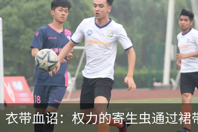 衣带血诏：权力的寄生虫通过裙带关系和近亲繁殖，已经密密麻麻的爬满了帝国的中枢神经