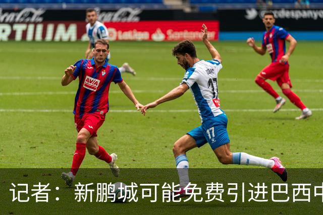 记者：新鹏城可能免费引进巴西中卫泽维尔，本科维奇会被放弃