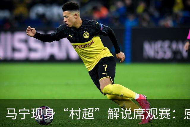 马宁现身“村超”解说席观赛：感受到了热情，这是最纯粹的足球